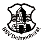 bsv-delmenhorst